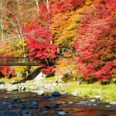 那須の紅葉